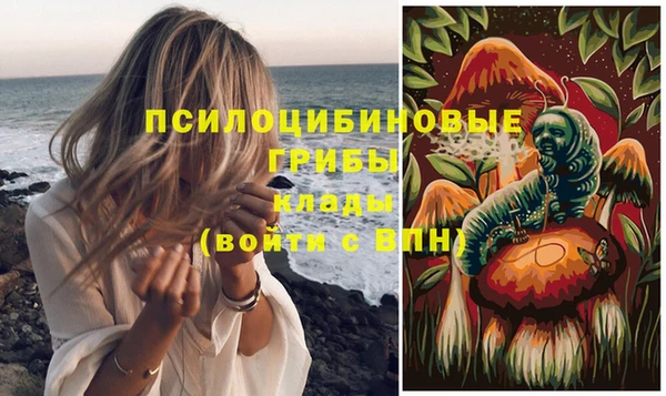 гидропоника Баксан
