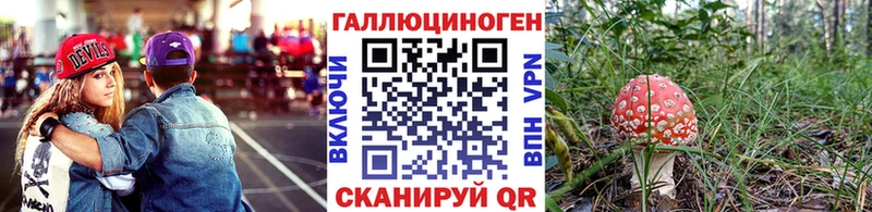 kraken сайт  Семикаракорск  Галлюциногенные грибы Psilocybine cubensis 
